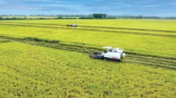 بناء دلتا ميكونغ خضراء – تطلعات موحدة، إجراءات مشتركة.